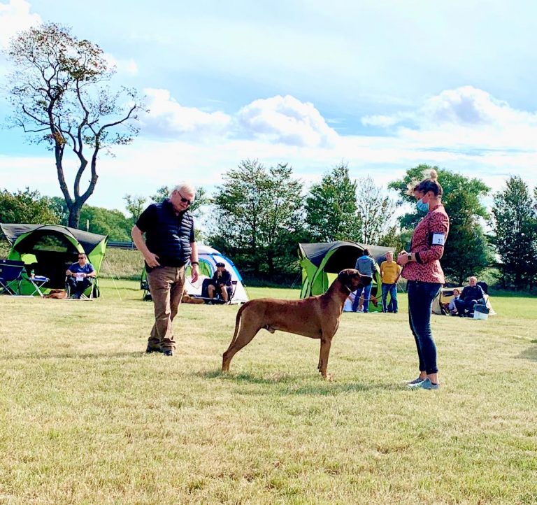 3. DZRR Spezialrassehundeausstellung Thüringen