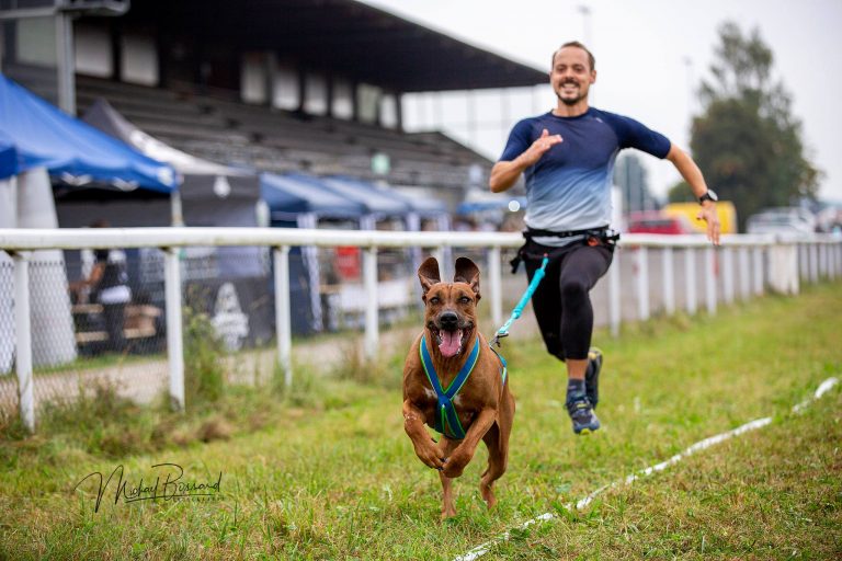 CaniCross, the passion of Bowie & Marc