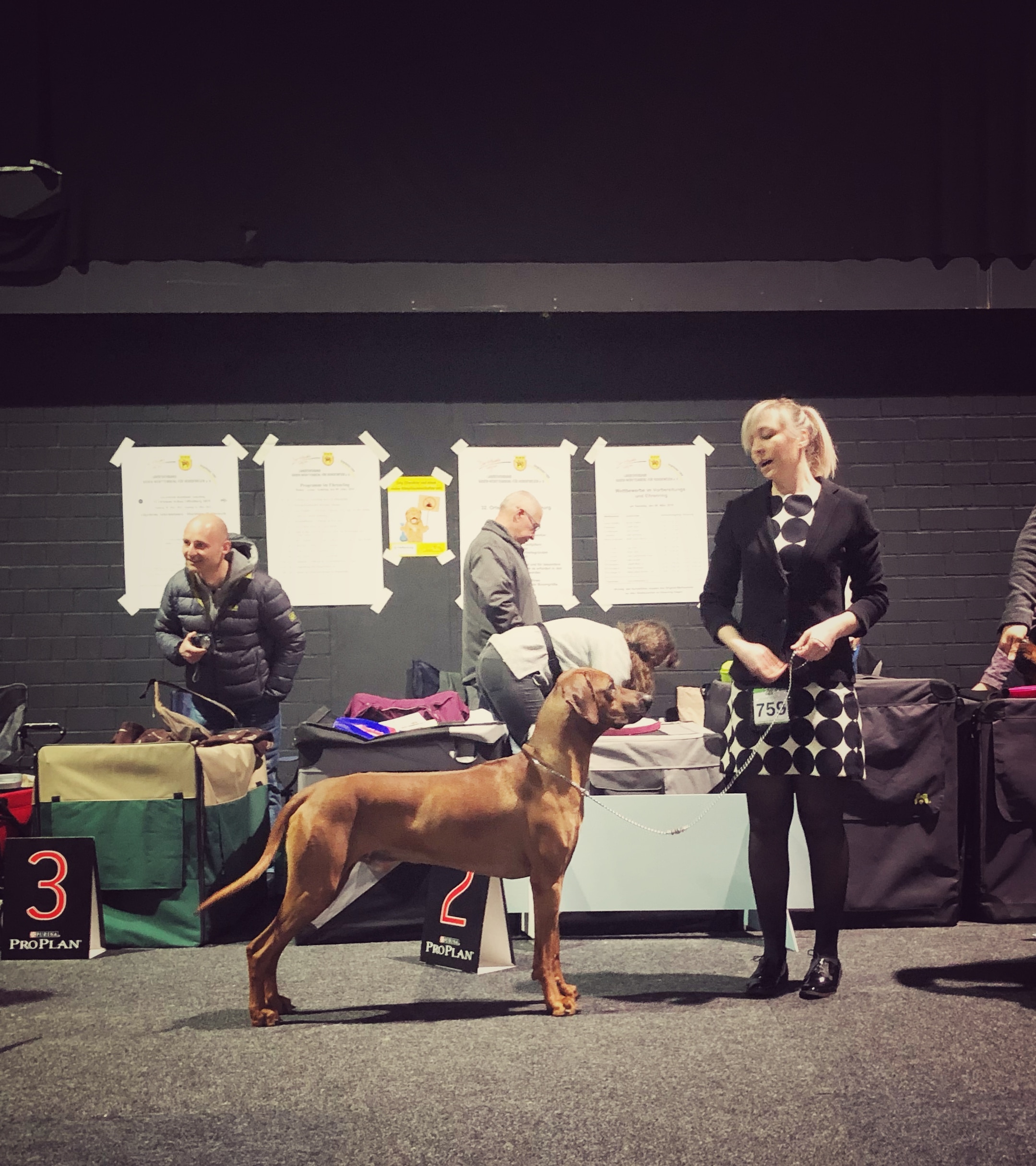 SHOWS: International show Offenburg